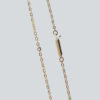 Gold Chain with Push Clasp