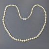 Vintage Pearl Necklace 1950s