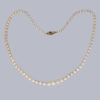 Vintage Pearl Sapphire Necklace